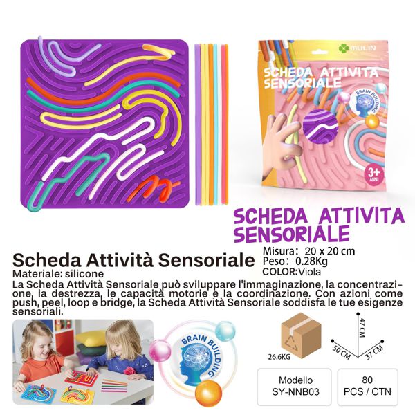 SCHEDA ATTIVITA SENSORIALE VIOLA 20*20CM