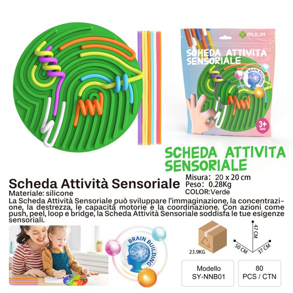 SCHEDA ATTIVITA SENSORIALE TONDO VERDE 20*20